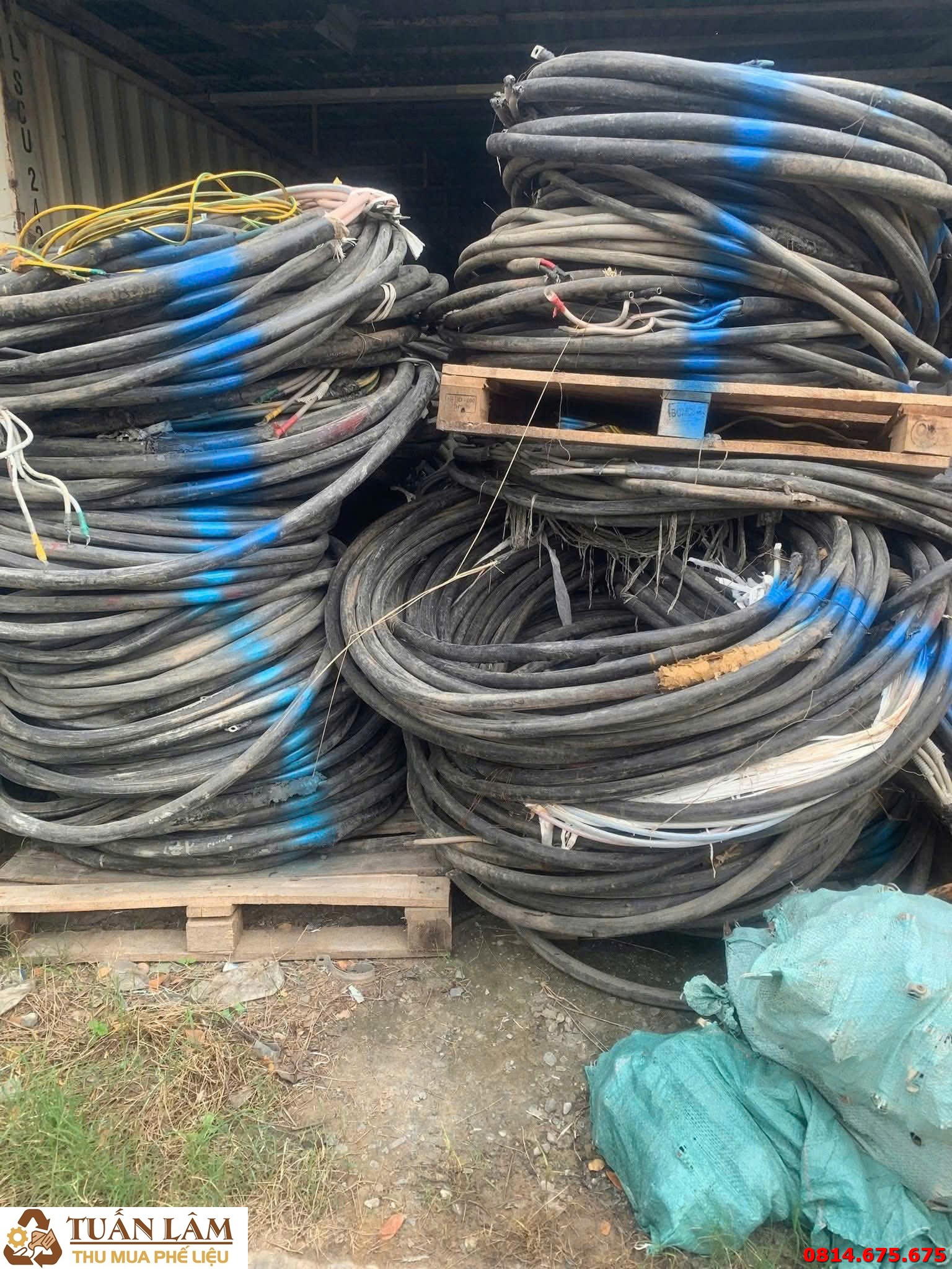 Xử Lý Dây Điện Phế Trong Nhà Máy Điện - Thu Gom Tận Kho Giá Tốt